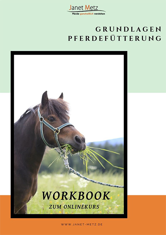 Workbook_s