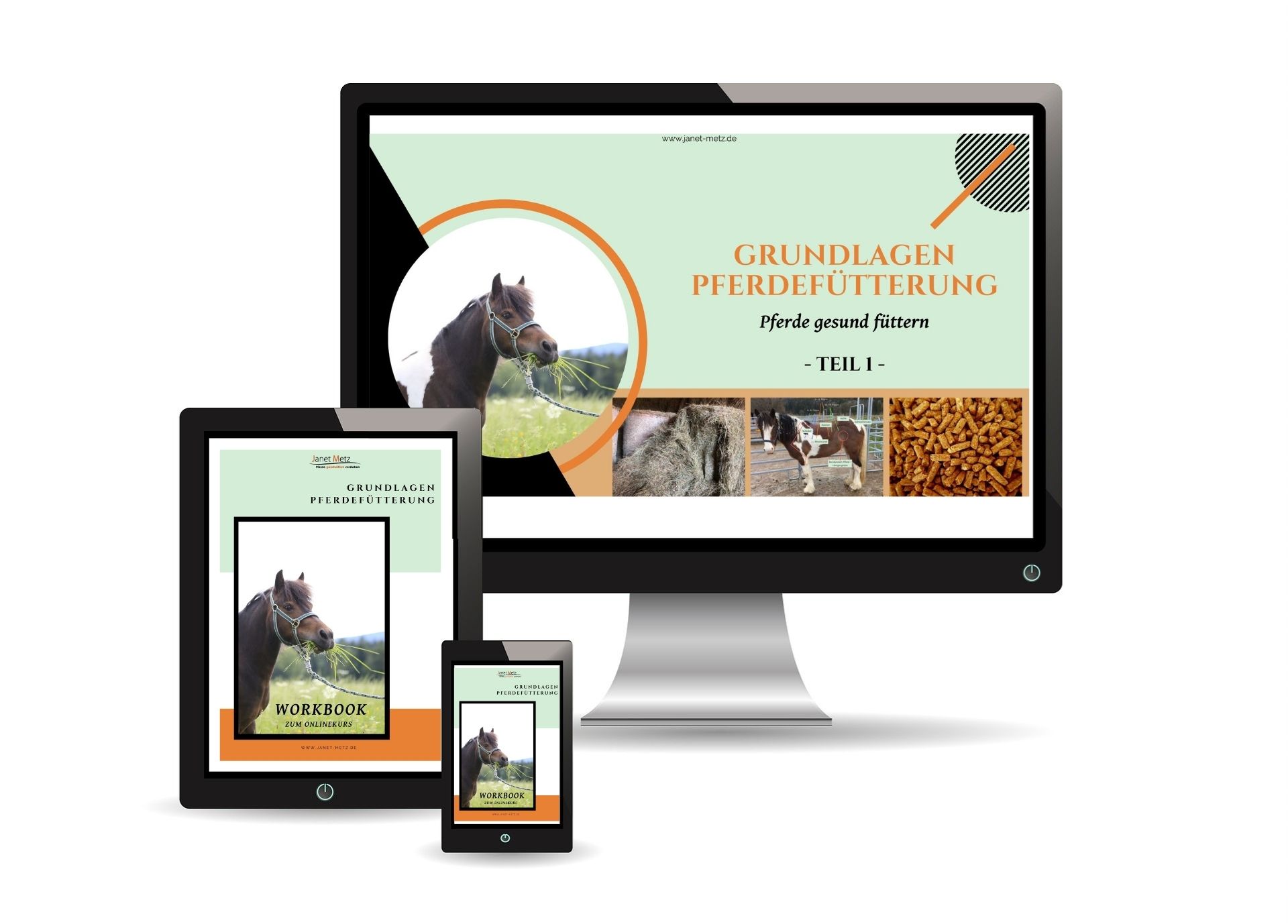 Dein Infomagazin für ganzheitliche Pferdegesundheit